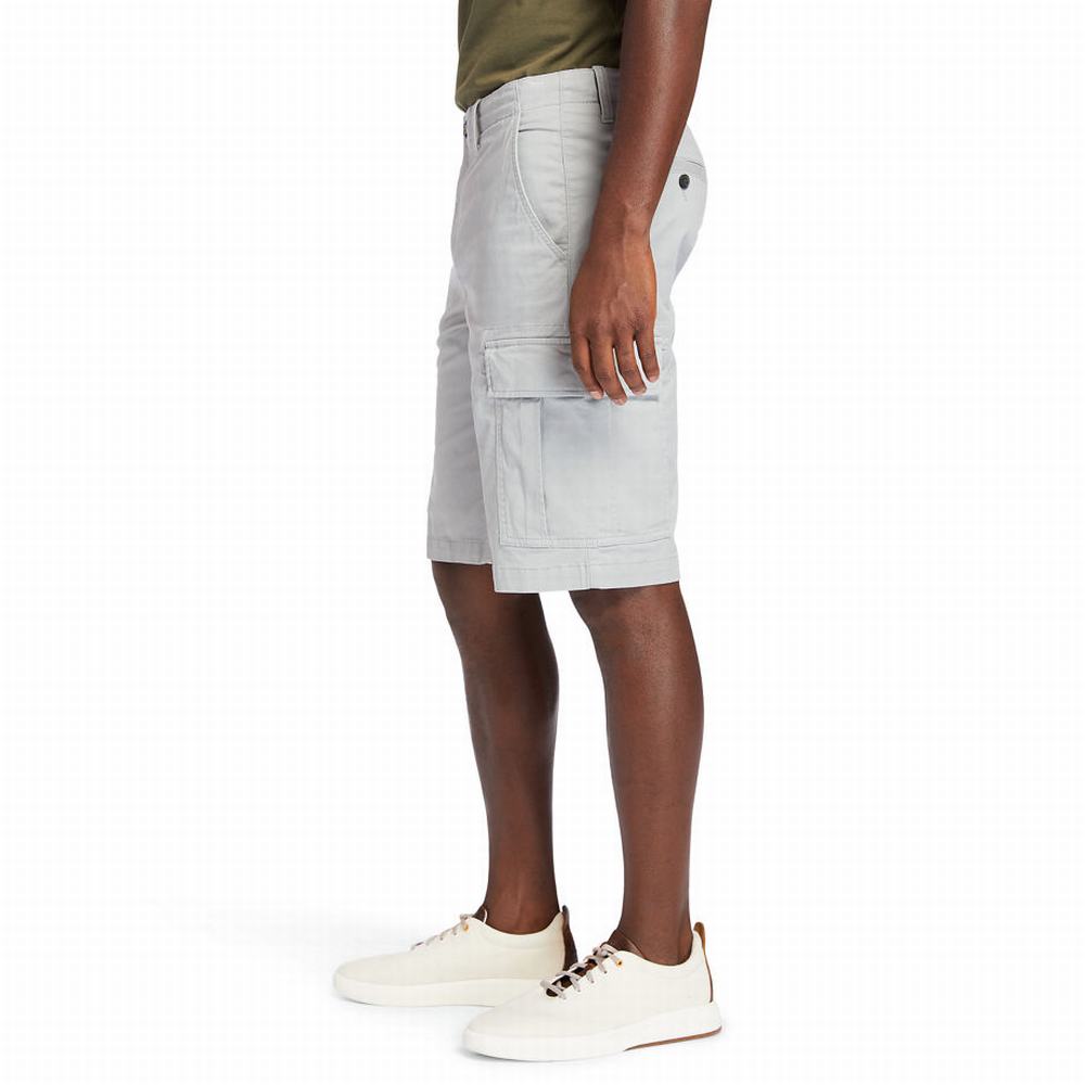 Timberland Cargo Şort Erkek Gri | TR-7538G