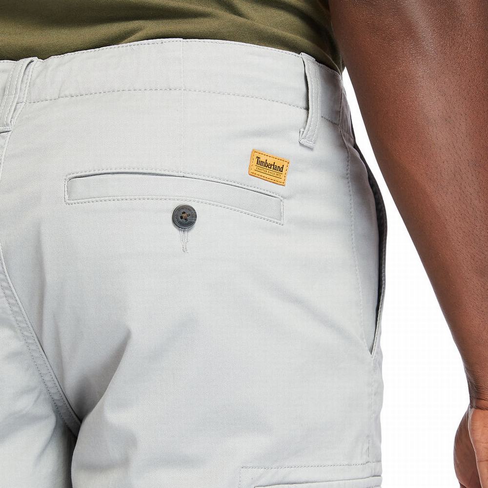 Timberland Cargo Şort Erkek Gri | TR-7538G