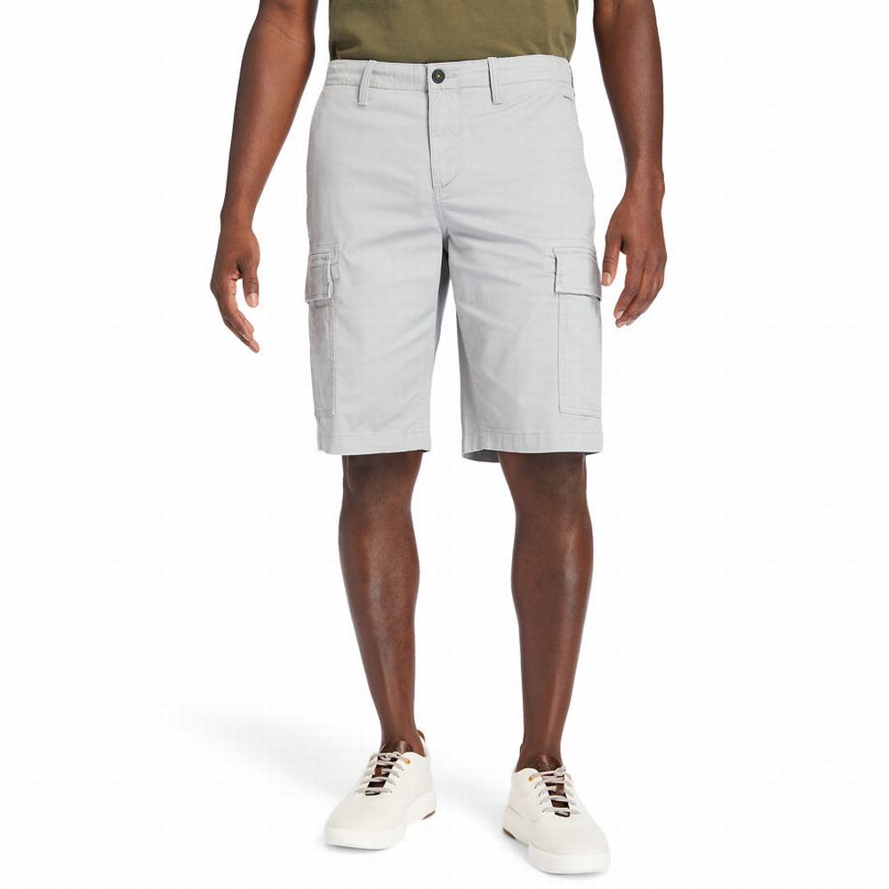Timberland Cargo Şort Erkek Gri | TR-7538G