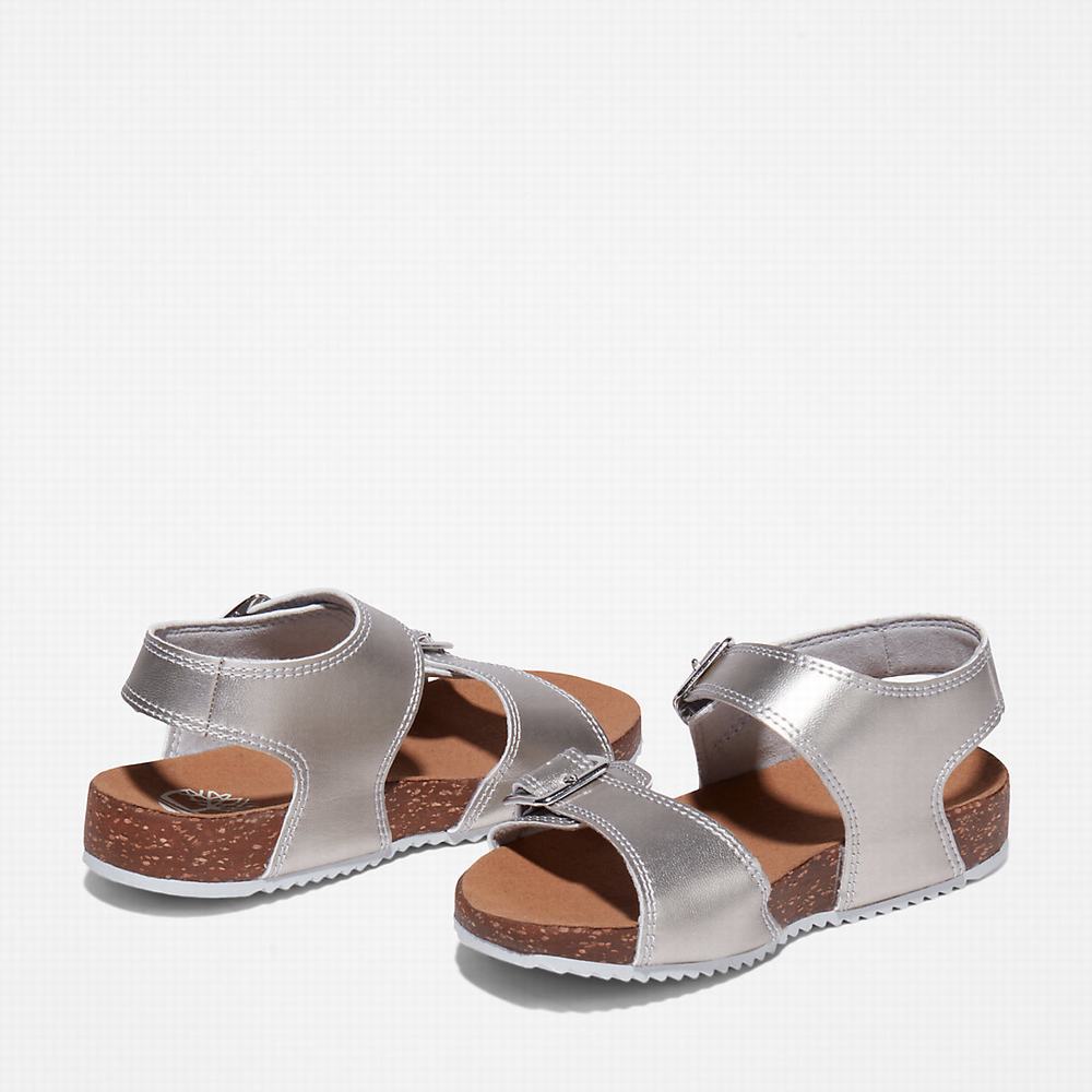 Timberland Castle Island Backstrap Sandalet Çocuk Gümüş | TR-2369C