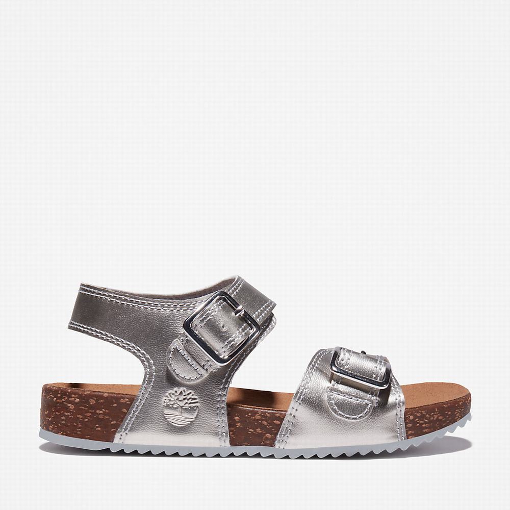 Timberland Castle Island Backstrap Sandalet Çocuk Gümüş | TR-2369C