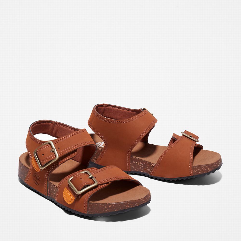 Timberland Castle Island Backstrap Sandalet Çocuk Kahverengi | TR-5049Z