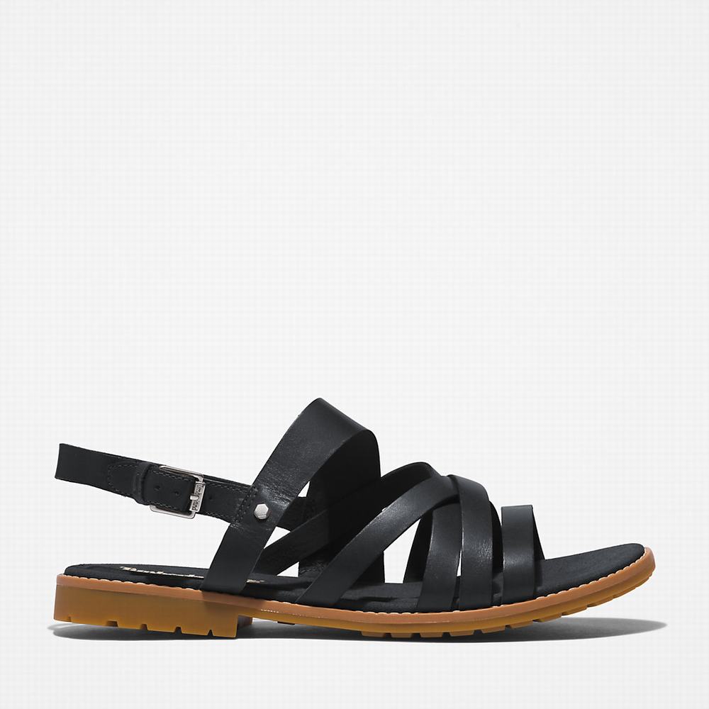 Timberland Chicago Riverside Backstrap Sandalet Kadın Siyah | TR-3560H