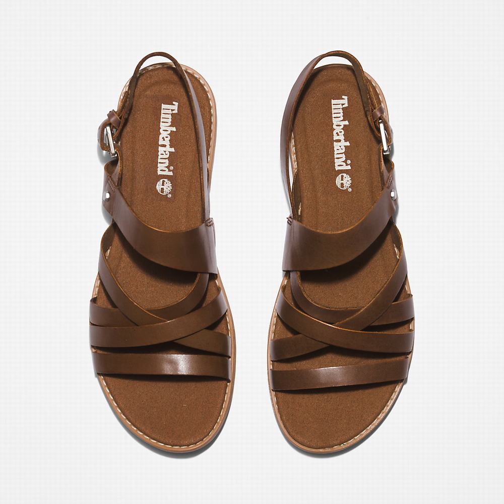 Timberland Chicago Riverside Backstrap Sandalet Kadın Kahverengi | TR-4968F