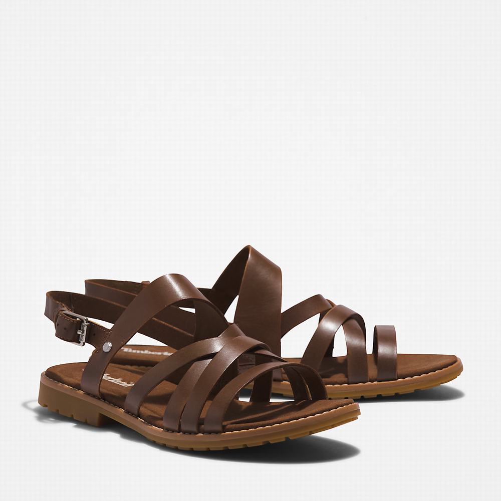 Timberland Chicago Riverside Backstrap Sandalet Kadın Kahverengi | TR-4968F