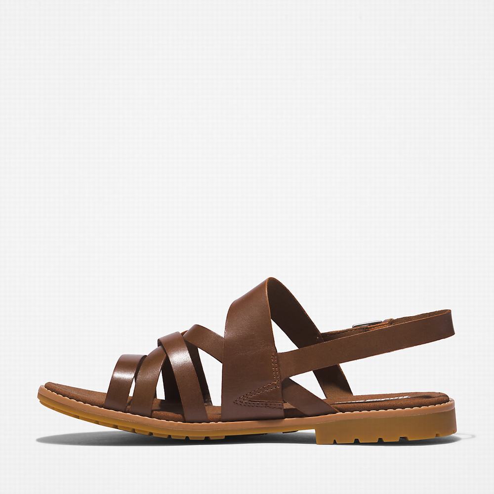 Timberland Chicago Riverside Backstrap Sandalet Kadın Kahverengi | TR-4968F
