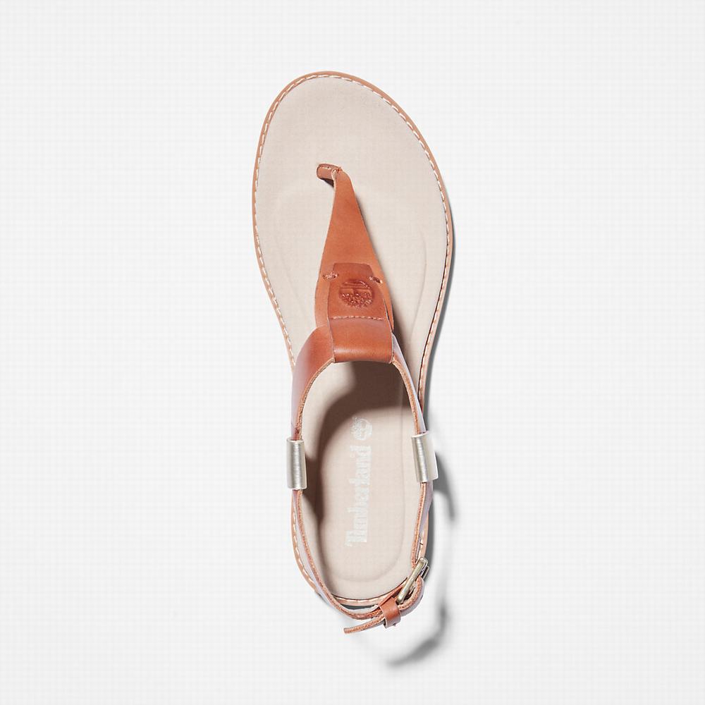 Timberland Chicago Riverside Tanga Sandalet Kadın Kahverengi | TR-9310Y