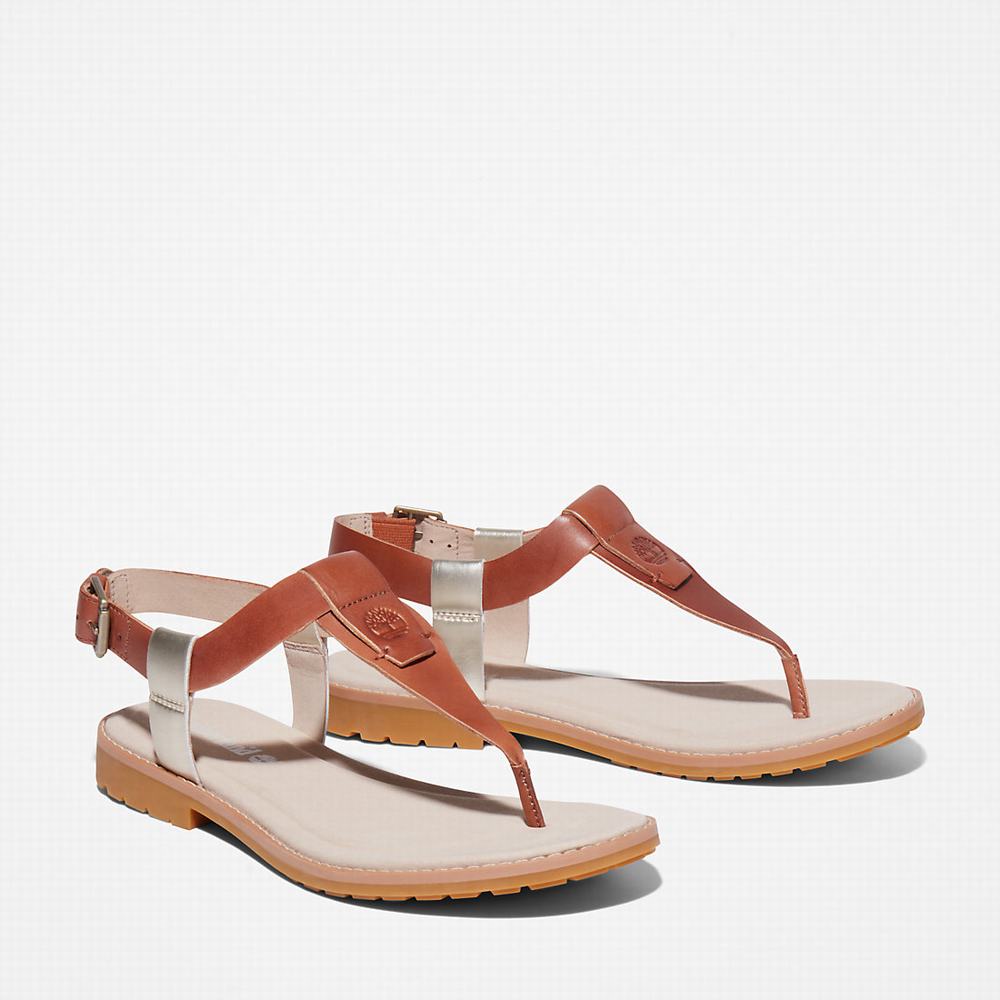 Timberland Chicago Riverside Tanga Sandalet Kadın Kahverengi | TR-9310Y