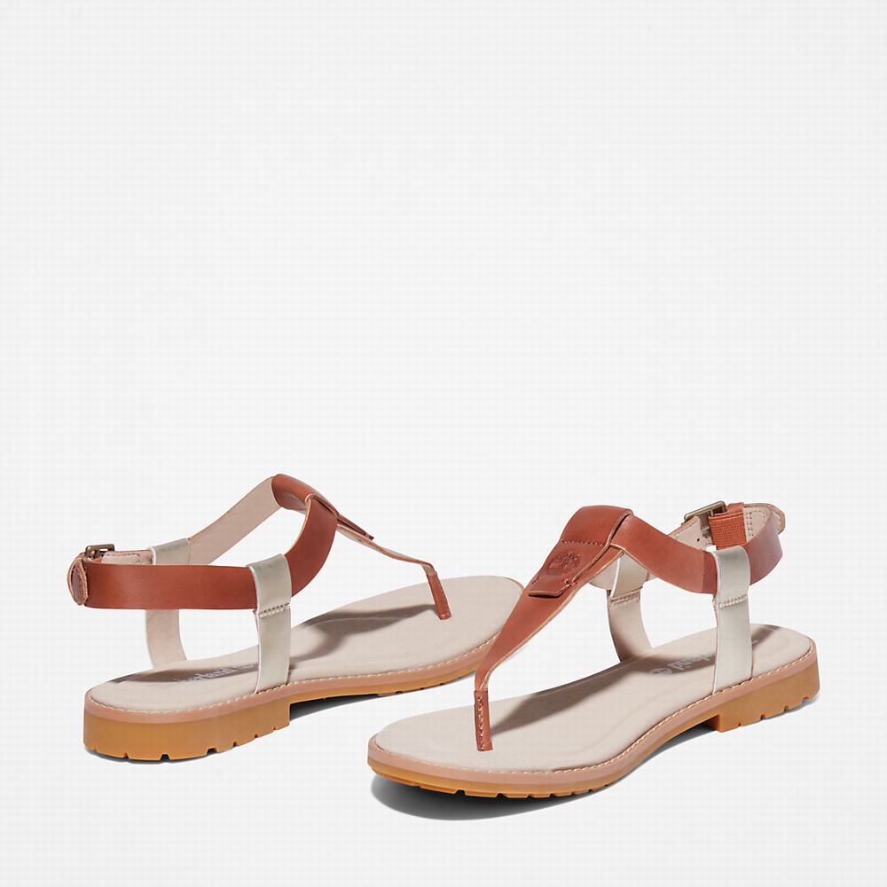 Timberland Chicago Riverside Tanga Sandalet Kadın Kahverengi | TR-9310Y