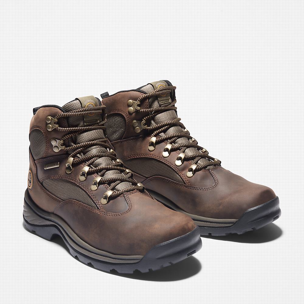 Timberland Chocorua Waterproof Yürüyüş Botu Erkek Kahverengi | TR-1803K