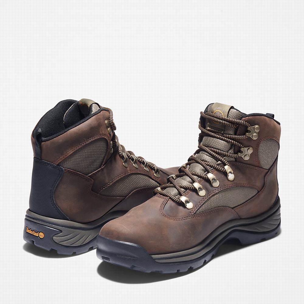 Timberland Chocorua Waterproof Yürüyüş Botu Erkek Kahverengi | TR-1803K