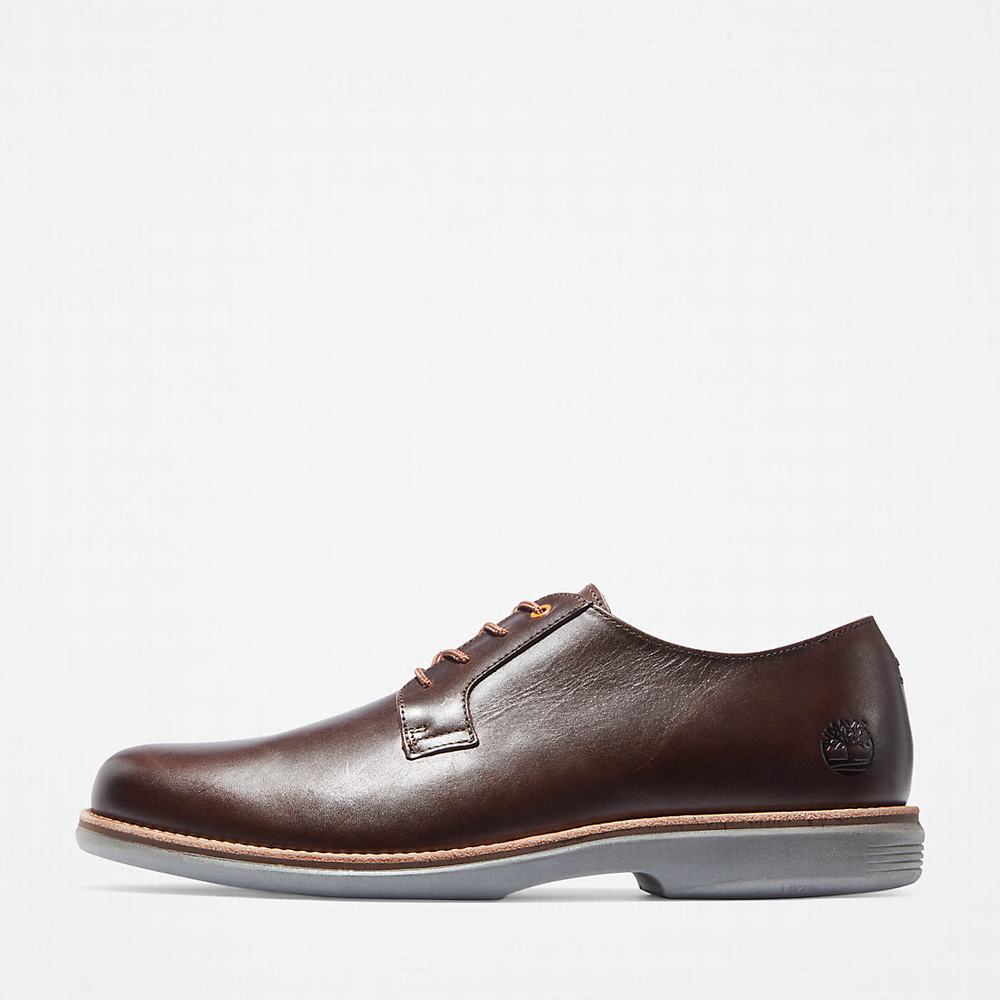 Timberland City Groove Oxford Ayakkabı Erkek Koyu Kahverengi | TR-0369H