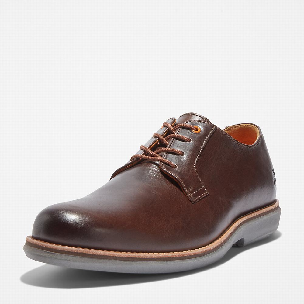 Timberland City Groove Oxford Ayakkabı Erkek Koyu Kahverengi | TR-0369H