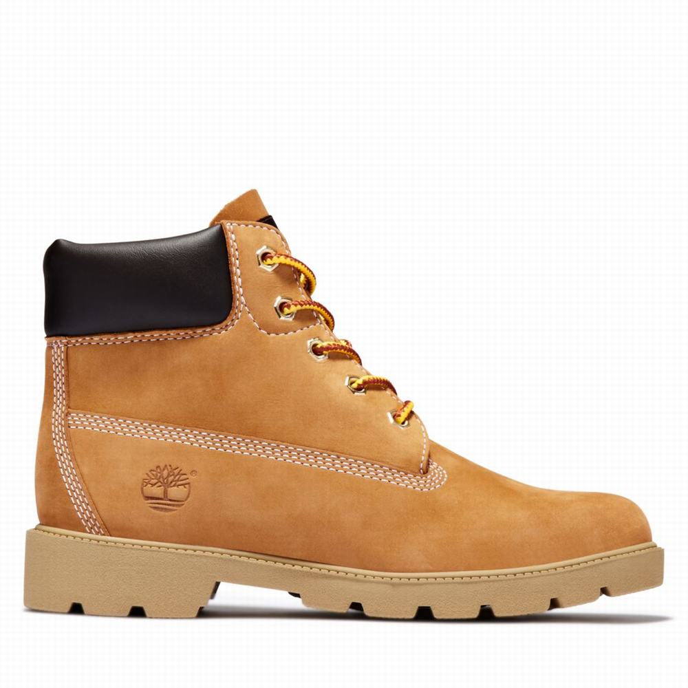 Timberland Classic 6-Inch Waterproof Bot Çocuk Kahverengi | TR-2913L