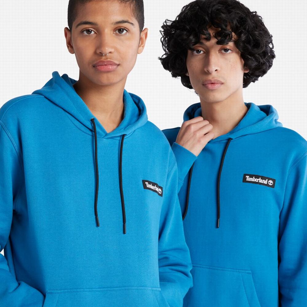 Timberland Classic Kapüşonlu Sweatshirt Kadın Açık Mavi | TR-0395U