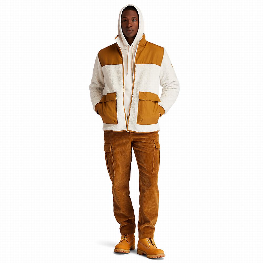 Timberland Corduroy Cargo Pantolon Erkek Kahverengi | TR-7925T