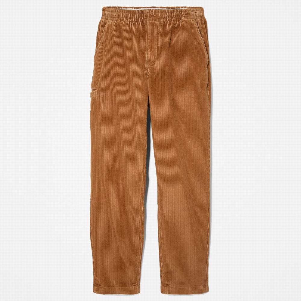 Timberland Corduroy Jogger Pantolon Erkek Kahverengi | TR-4296N