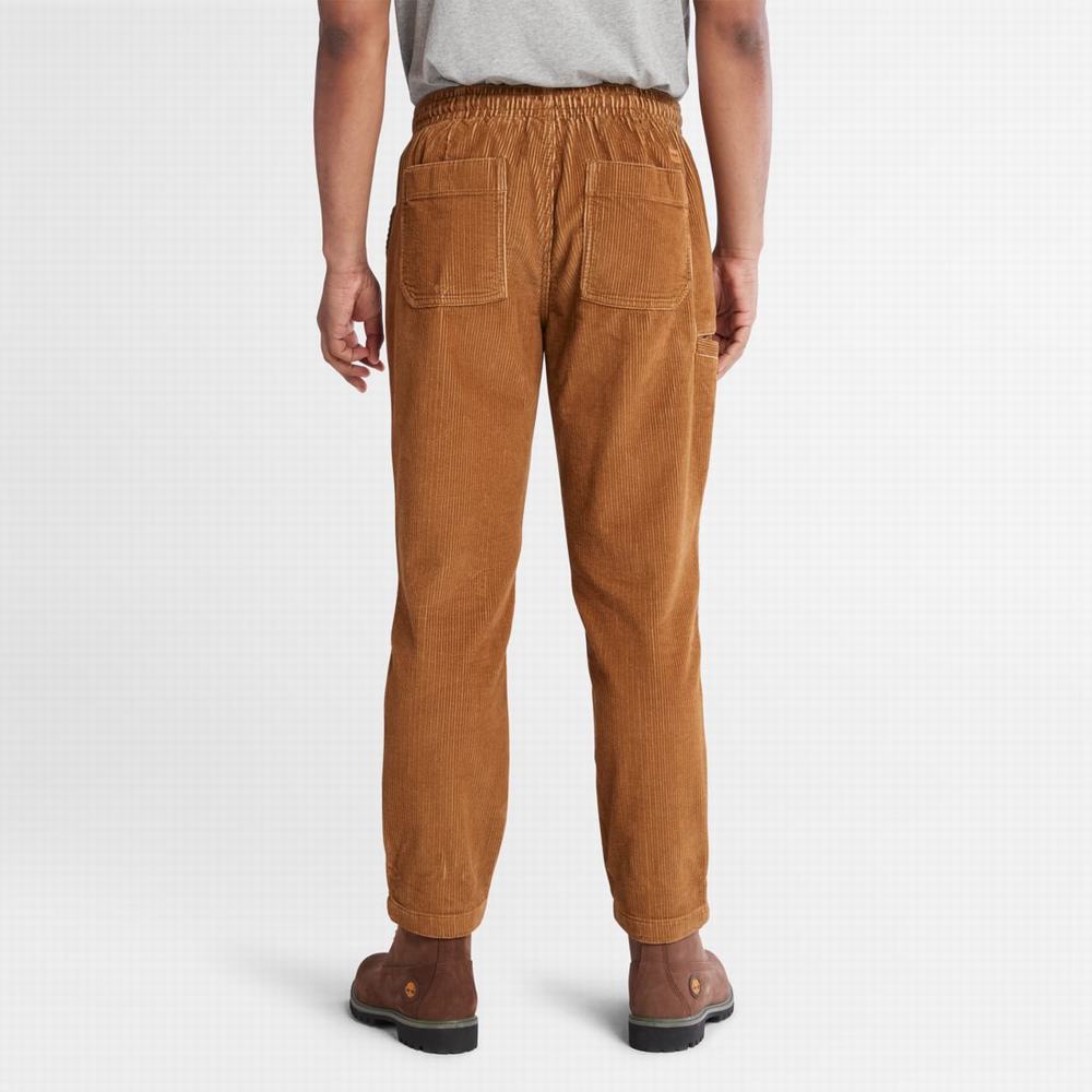 Timberland Corduroy Jogger Pantolon Erkek Kahverengi | TR-4296N