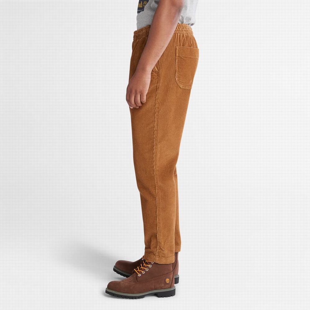 Timberland Corduroy Jogger Pantolon Erkek Kahverengi | TR-4296N