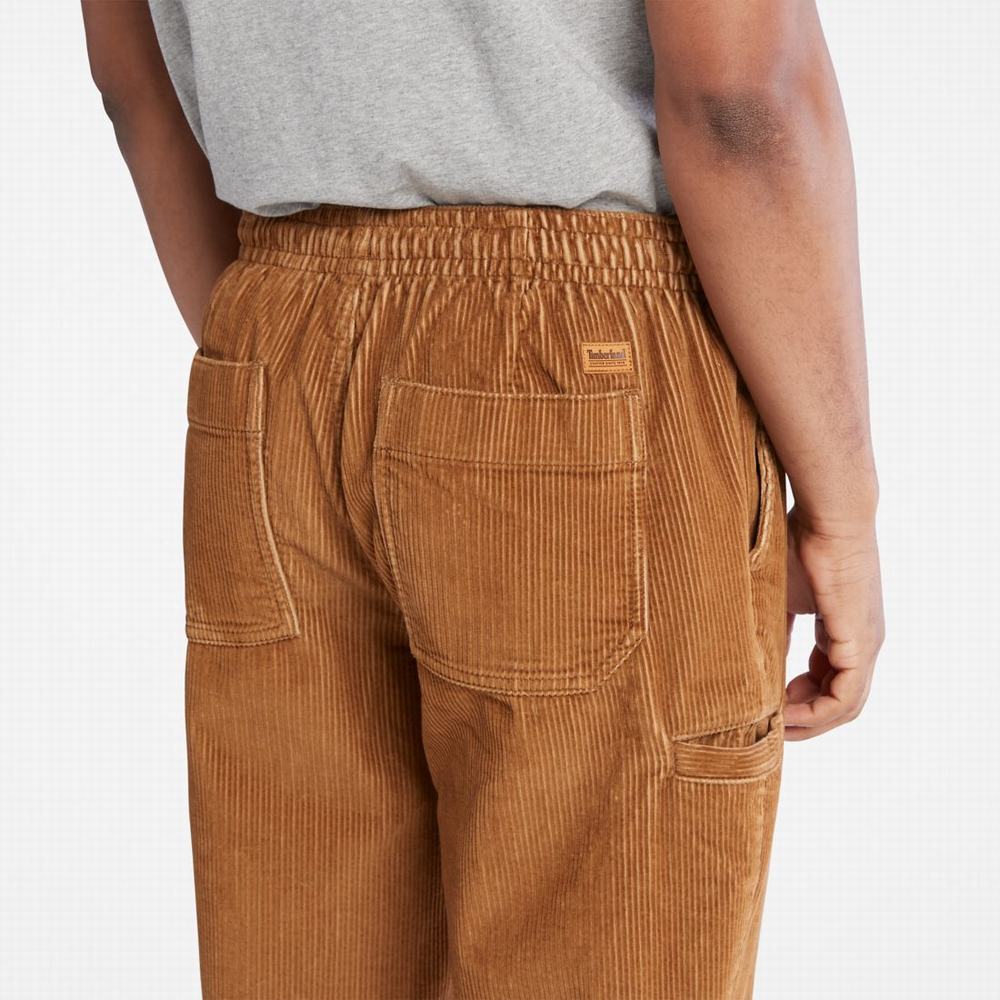 Timberland Corduroy Jogger Pantolon Erkek Kahverengi | TR-4296N