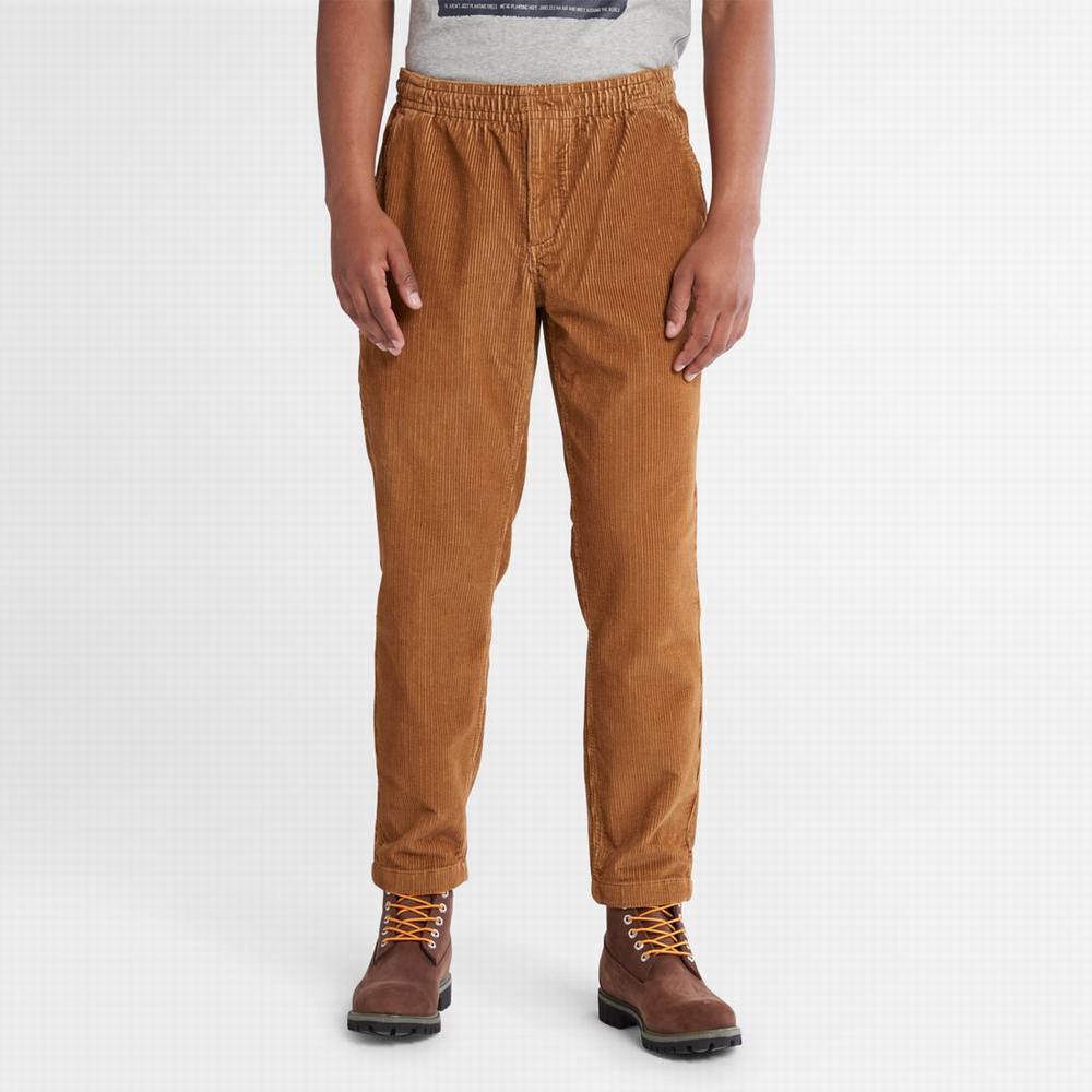 Timberland Corduroy Jogger Pantolon Erkek Kahverengi | TR-4296N