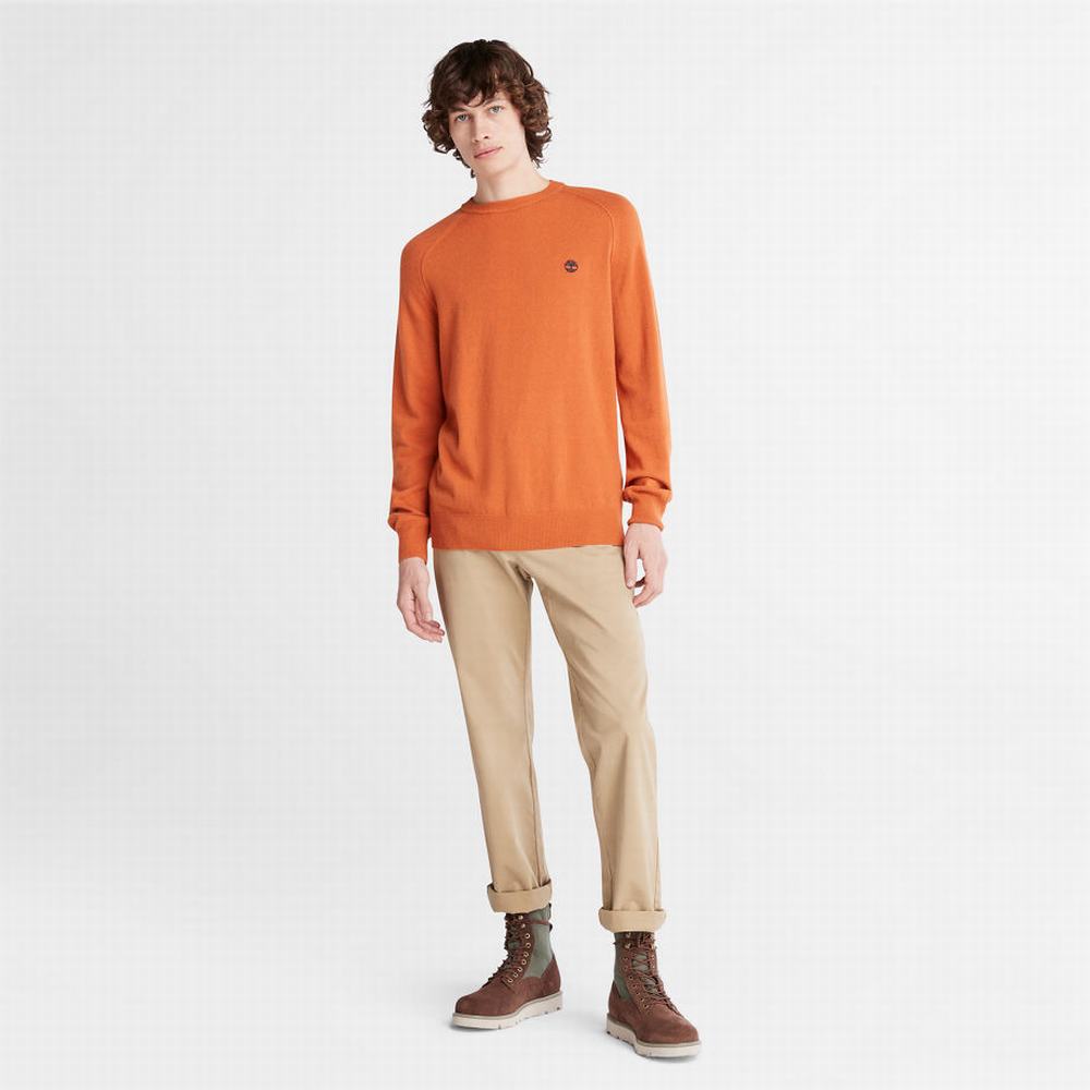 Timberland Crewneck Raglan Süveter Erkek Turuncu | TR-1287W
