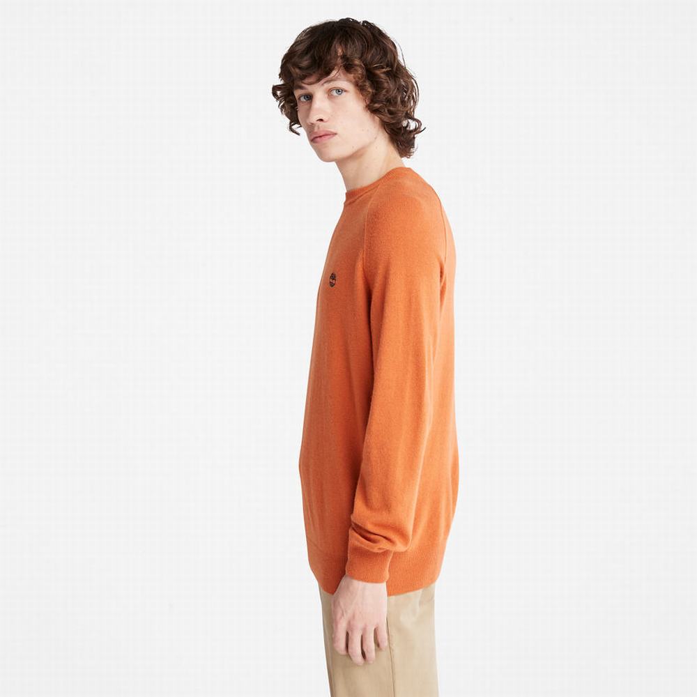 Timberland Crewneck Raglan Süveter Erkek Turuncu | TR-1287W