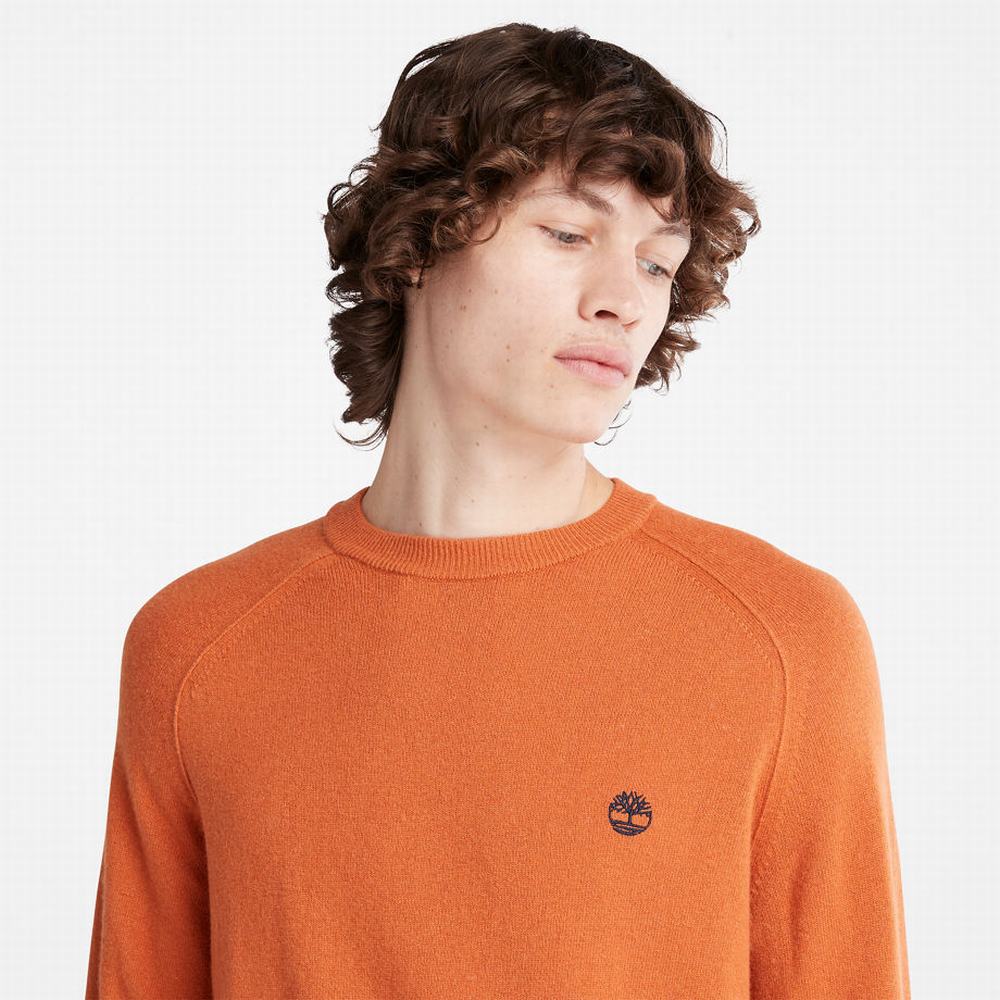 Timberland Crewneck Raglan Süveter Erkek Turuncu | TR-1287W