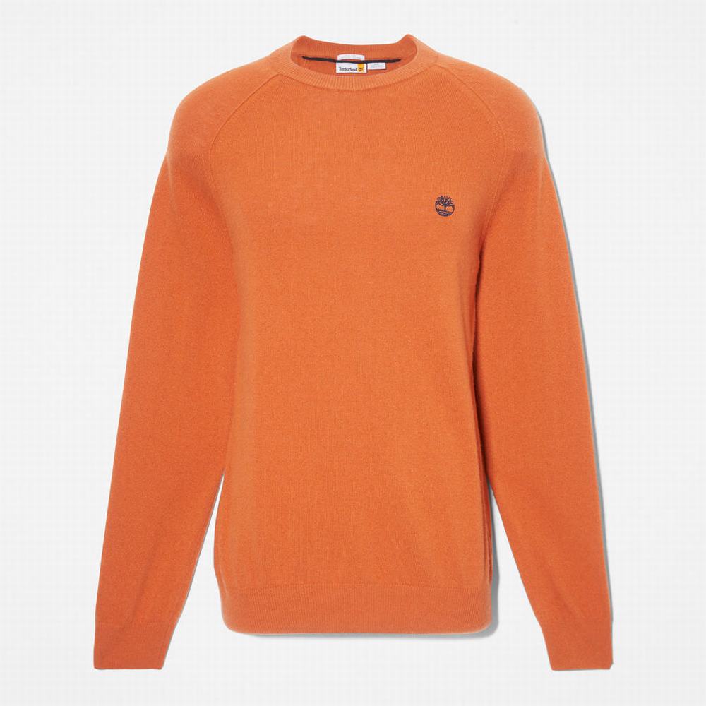Timberland Crewneck Raglan Süveter Erkek Turuncu | TR-1287W