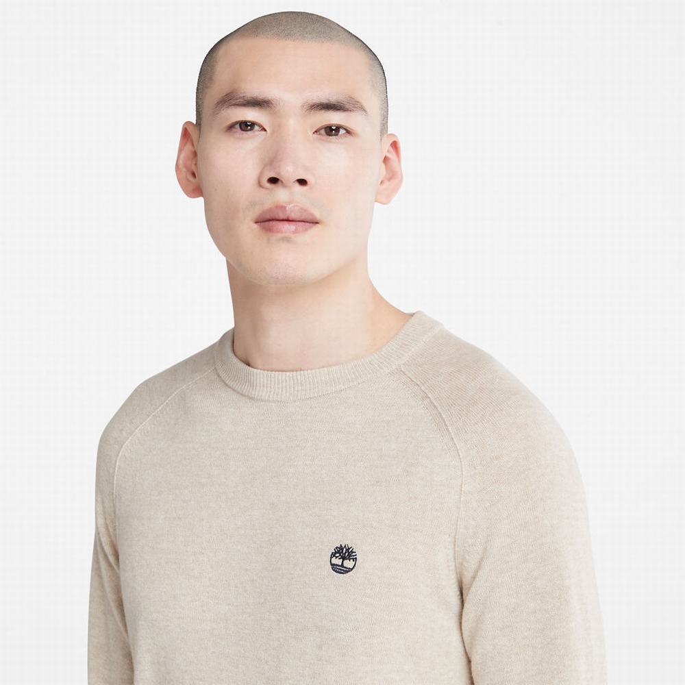 Timberland Crewneck Raglan Süveter Erkek Açık Gri | TR-9350Q