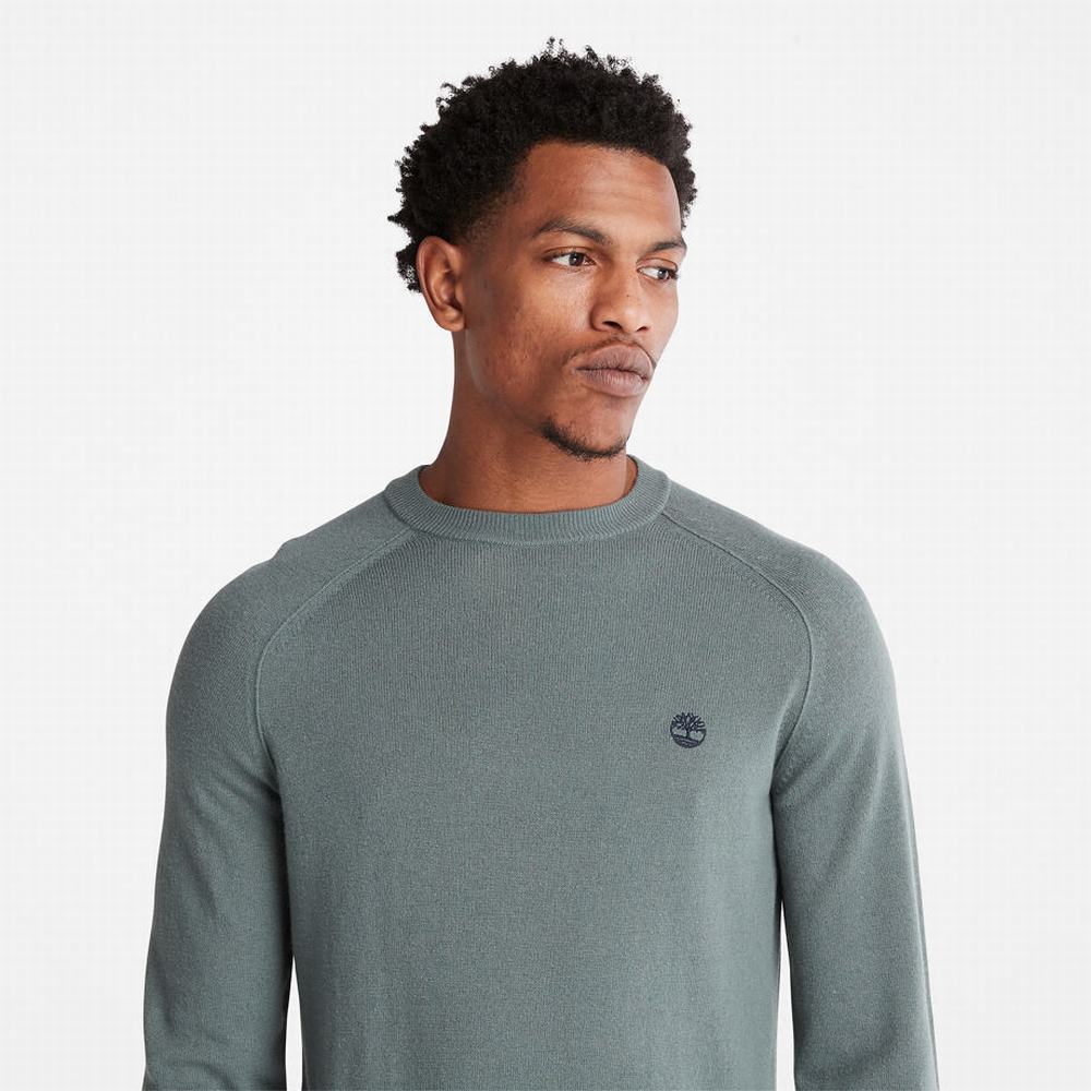 Timberland Crewneck Raglan Süveter Erkek Yeşil | TR-9863E
