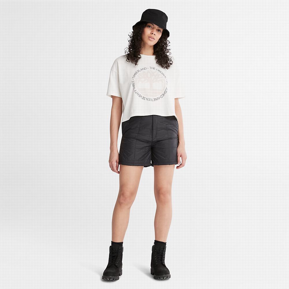 Timberland Cropped Logo Tişört Kadın Beyaz | TR-2109A