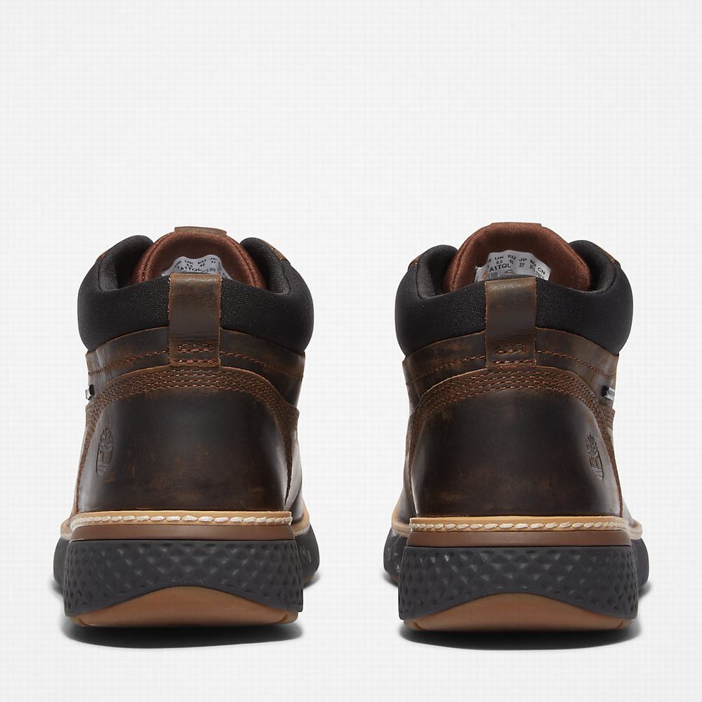Timberland Cross Mark Gore-Tex® Chukka Bot Erkek Koyu Kahverengi | TR-1065G