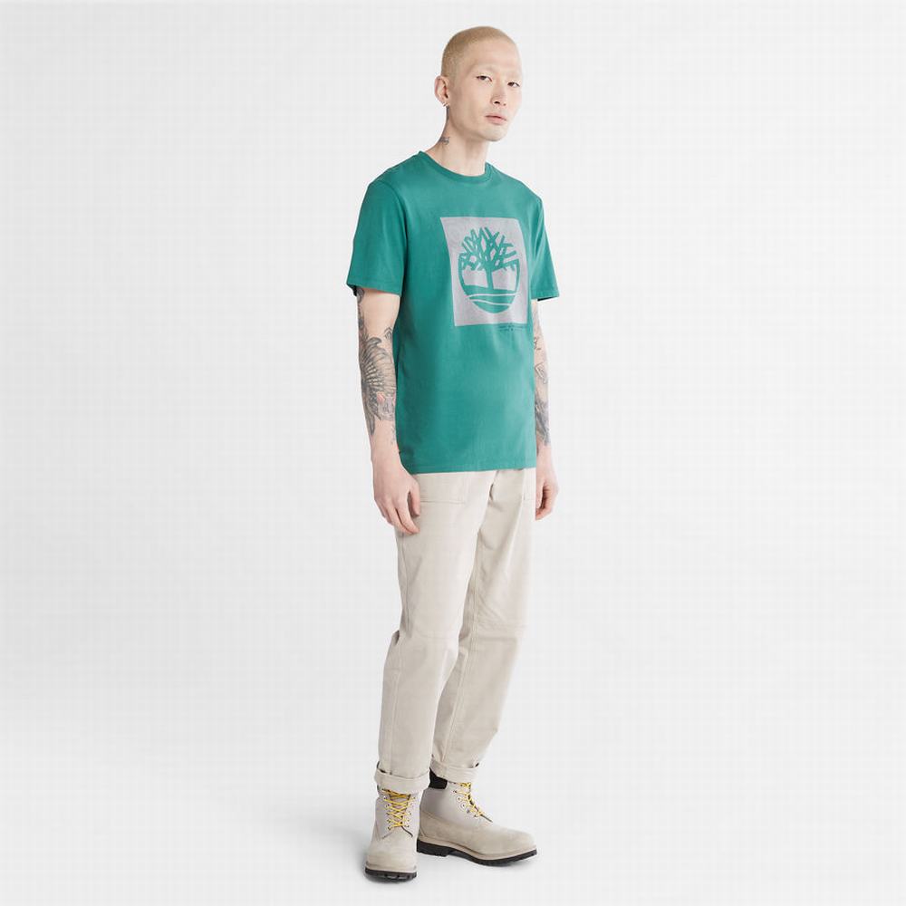 Timberland Dotted Tree-logo Tişört Erkek Yeşil | TR-9168T