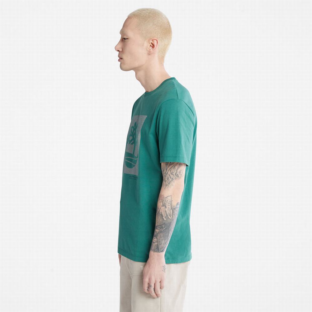 Timberland Dotted Tree-logo Tişört Erkek Yeşil | TR-9168T