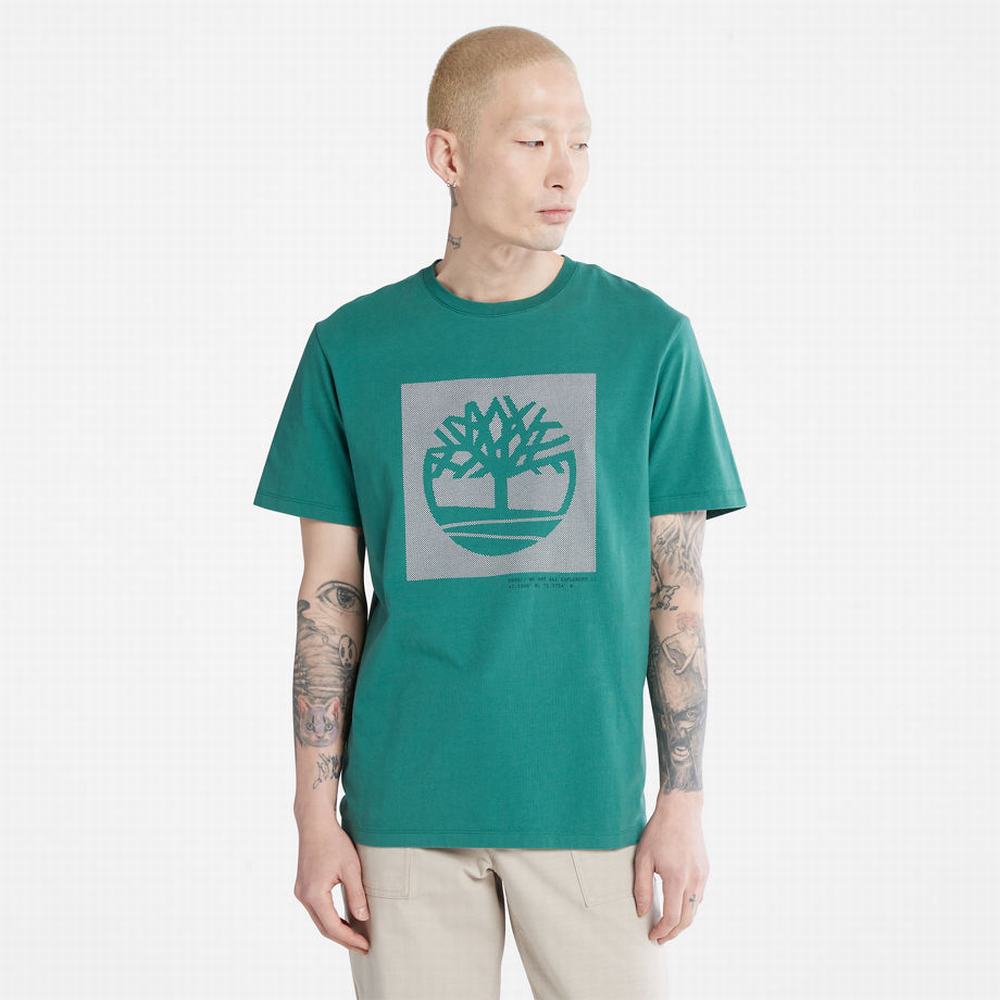 Timberland Dotted Tree-logo Tişört Erkek Yeşil | TR-9168T