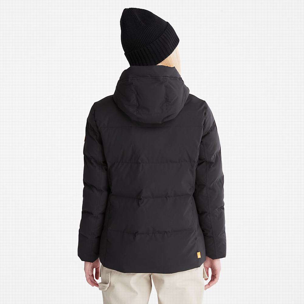 Timberland Down-Free Insulated Ceket Kadın Siyah | TR-3025F