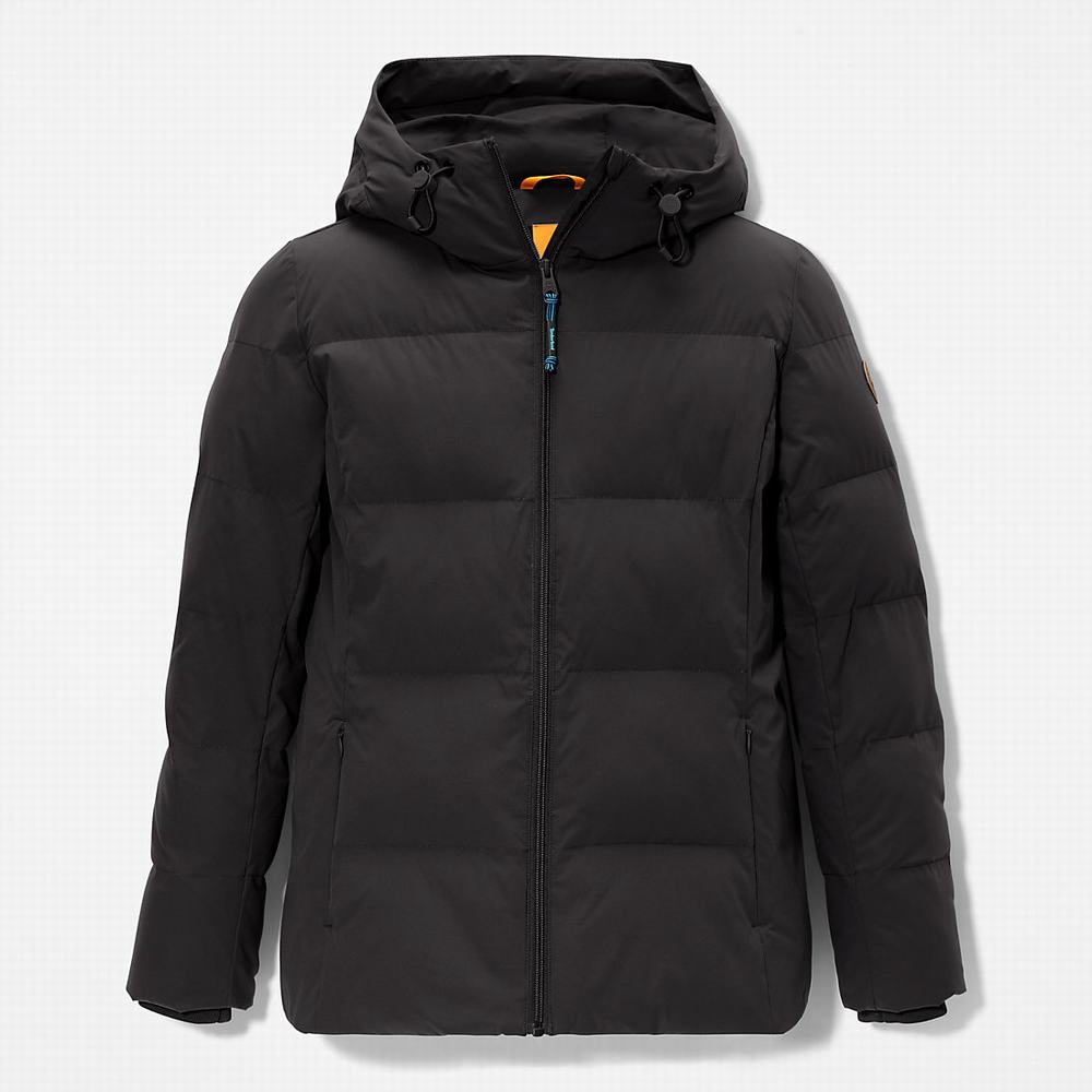 Timberland Down-Free Insulated Ceket Kadın Siyah | TR-3025F