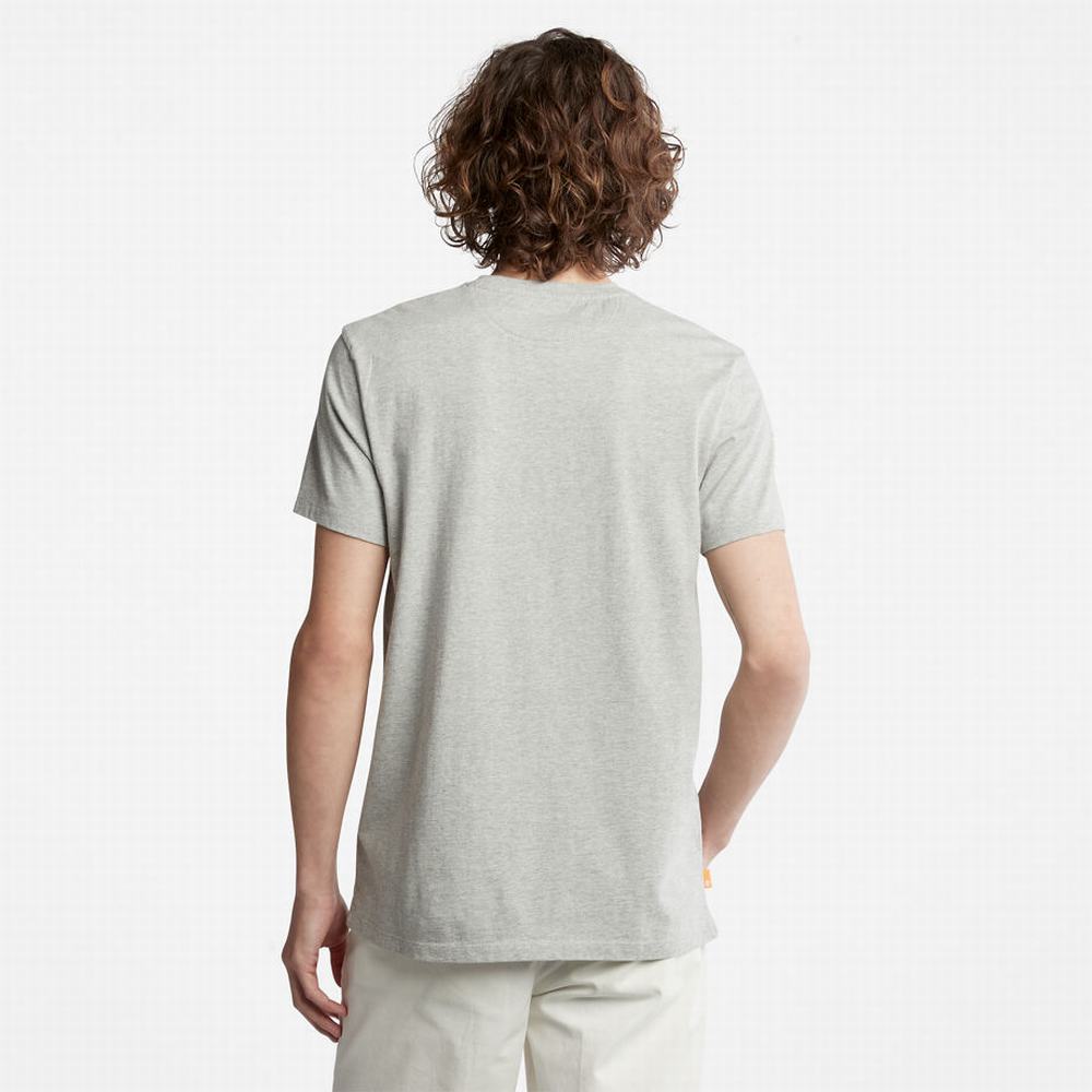 Timberland Dunstan River Crew Tee Tişört Erkek Gri | TR-2803S