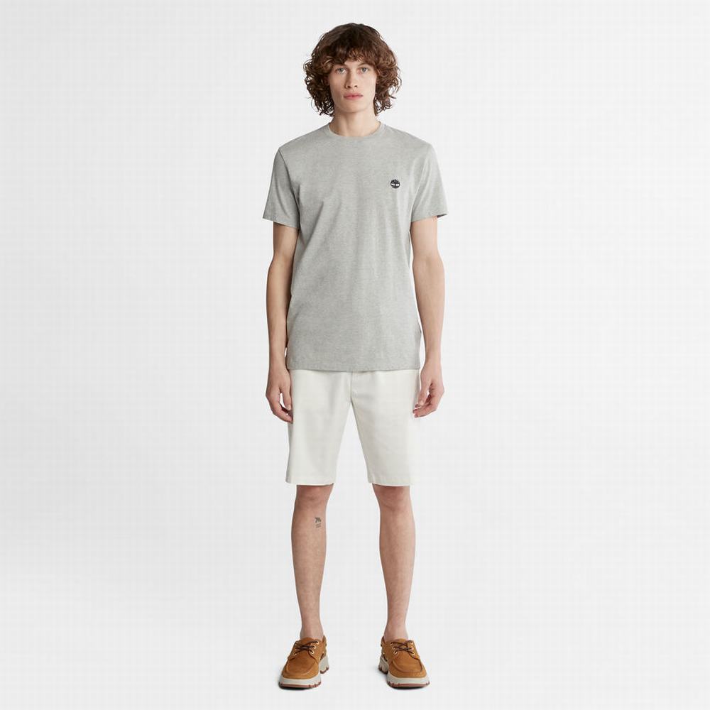 Timberland Dunstan River Crew Tee Tişört Erkek Gri | TR-2803S