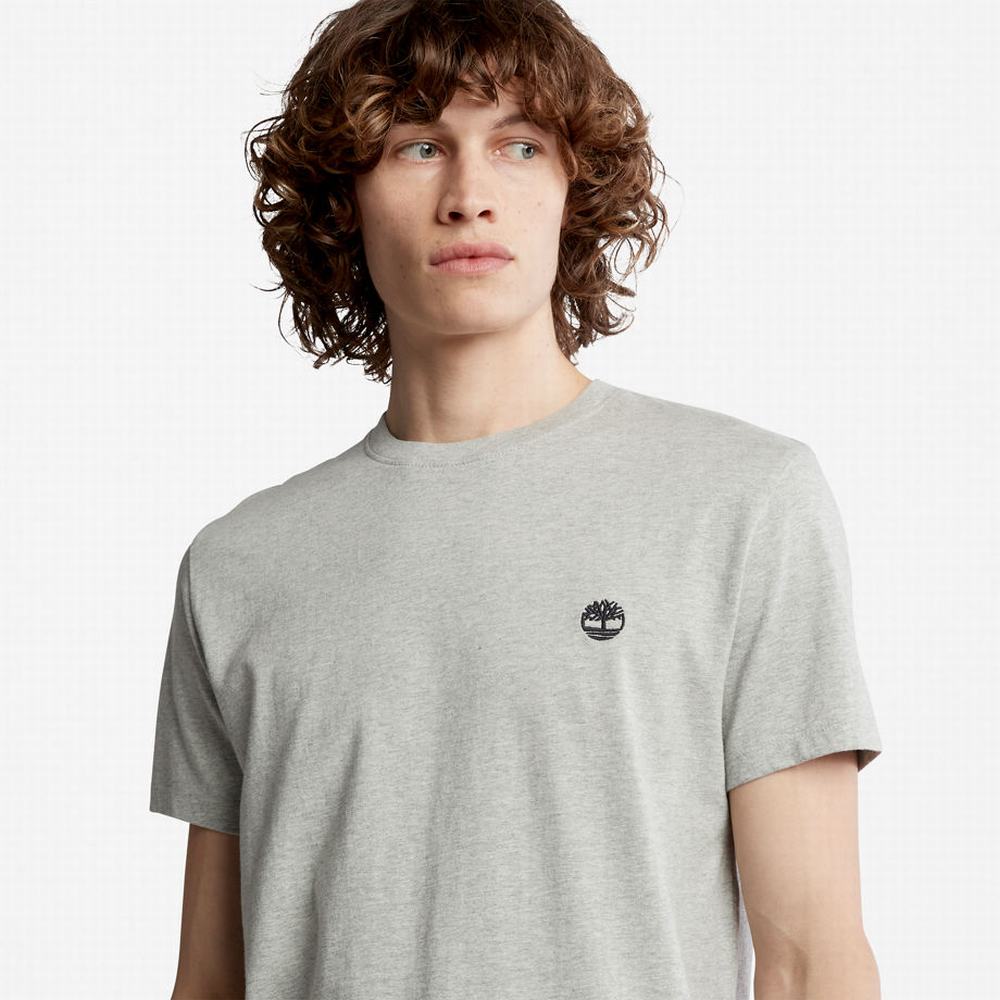 Timberland Dunstan River Crew Tee Tişört Erkek Gri | TR-2803S