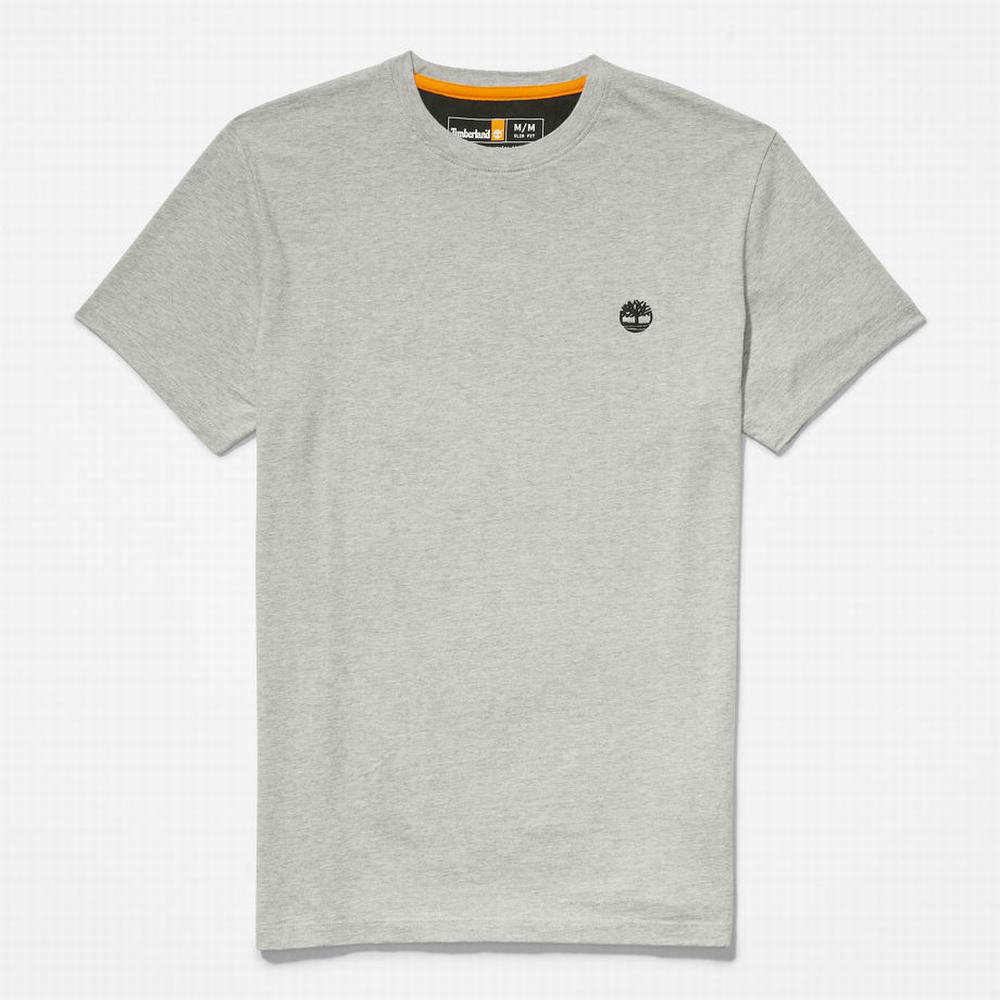Timberland Dunstan River Crew Tee Tişört Erkek Gri | TR-2803S