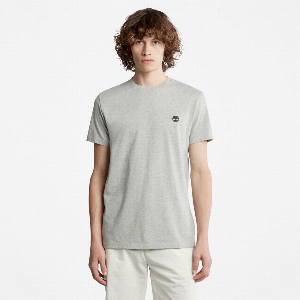 Timberland Dunstan River Crew Tee Tişört Erkek Gri | TR-2803S