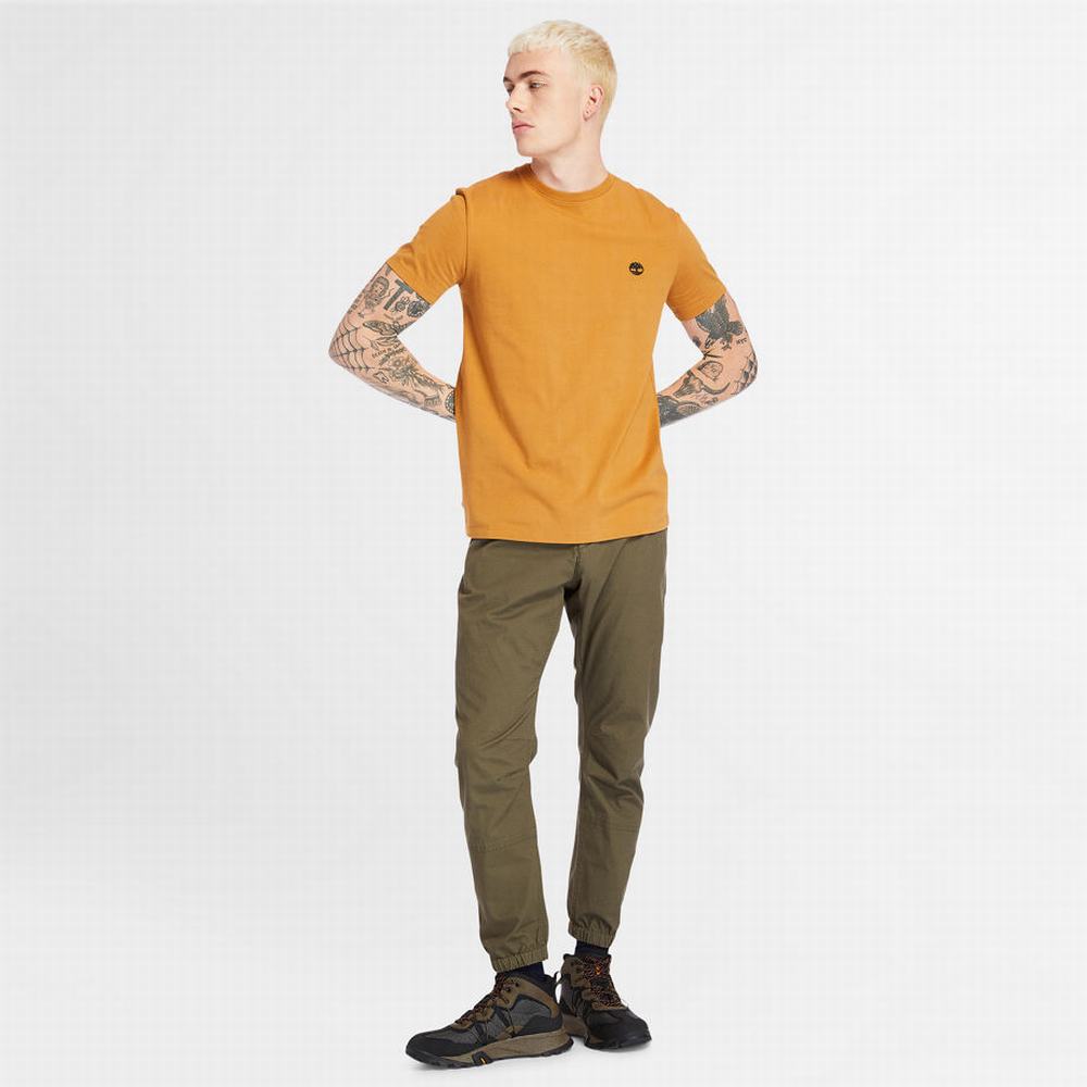 Timberland Dunstan River Crew Tee Tişört Erkek Sarı | TR-5631U