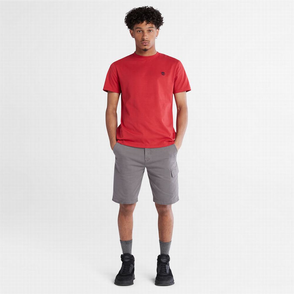 Timberland Dunstan River Crew Tişört Erkek Kırmızı | TR-3851R
