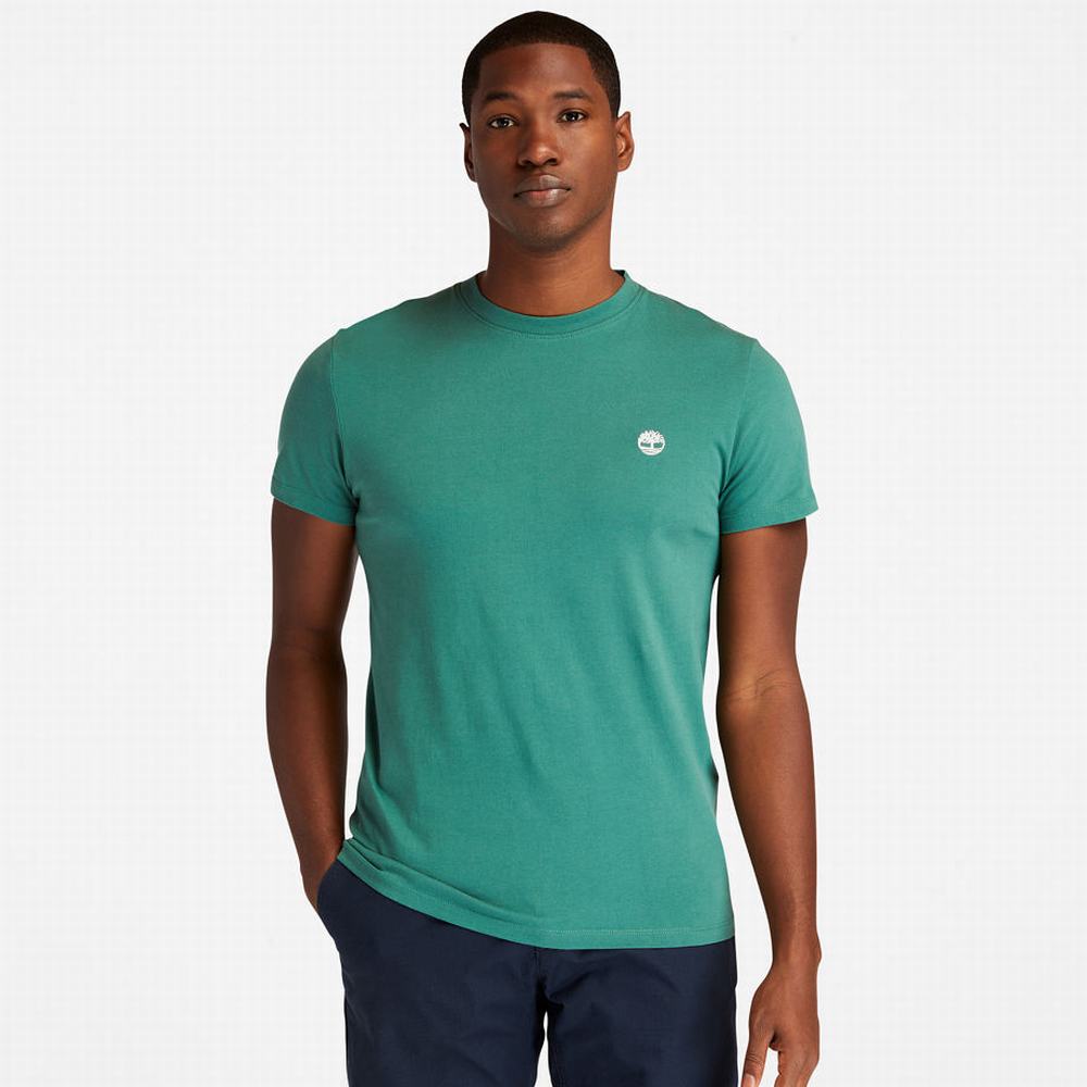 Timberland Dunstan River Crew Tişört Erkek Yeşil | TR-5217Q