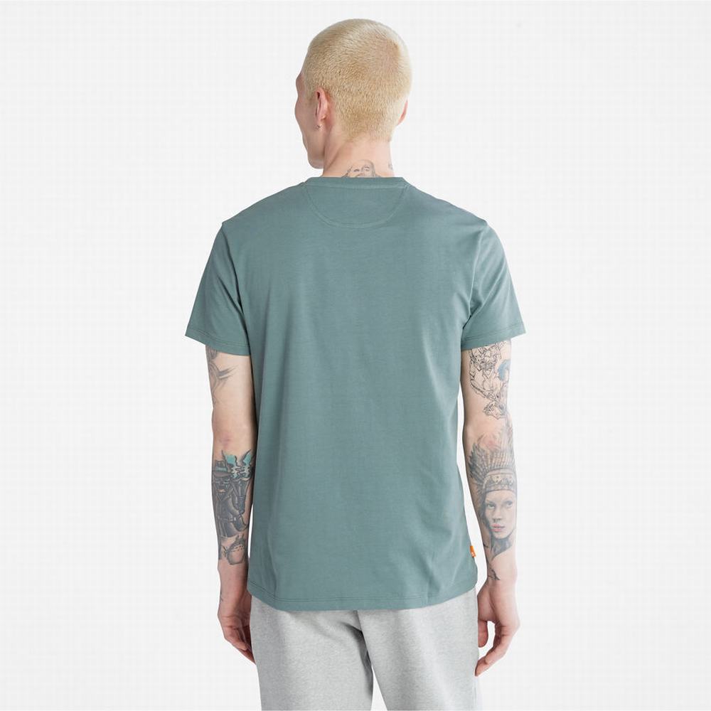 Timberland Dunstan River Crewneck Tişört Erkek Yeşil | TR-2561H