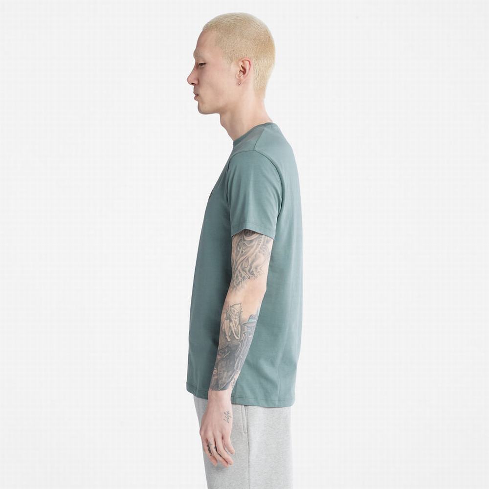 Timberland Dunstan River Crewneck Tişört Erkek Yeşil | TR-2561H