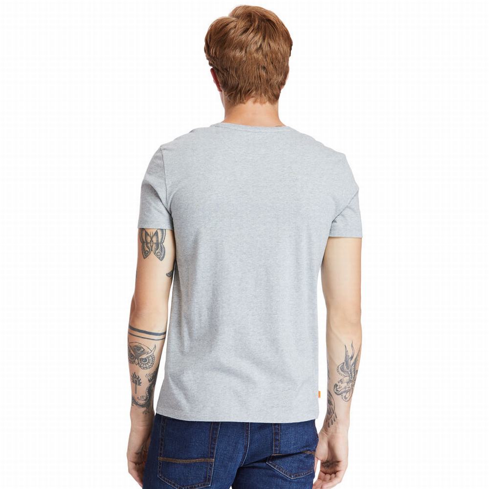 Timberland Dunstan River V-Neck Tişört Erkek Gri | TR-3492H