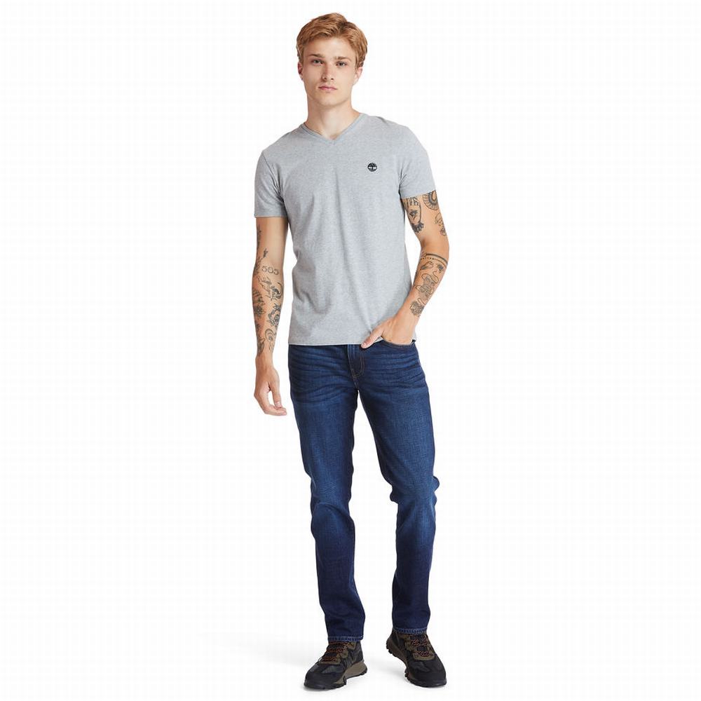 Timberland Dunstan River V-Neck Tişört Erkek Gri | TR-3492H